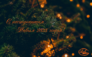 С Наступающим 2025 годом! С Наступающим 2025 годом!