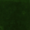 5013_изобр.2