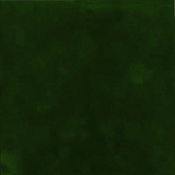 5013_изобр.2