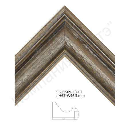 G11509-13-PT