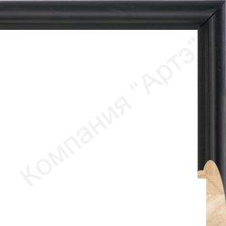 НПЗ-04722-А33_7823